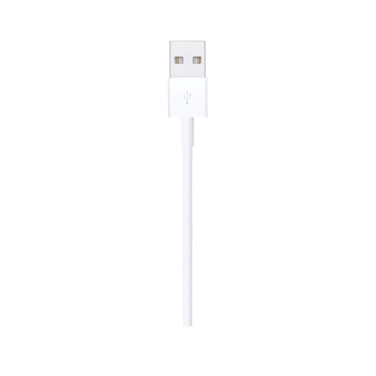 iPhone USB-A to Lightning Cable