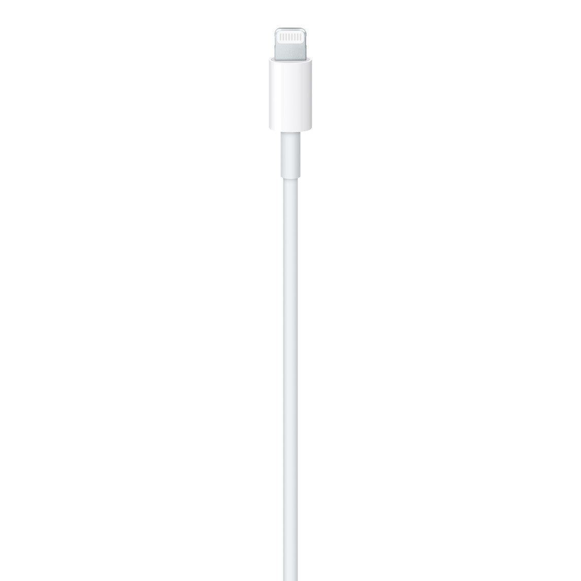 iPhone USB-C to Lightning Cable